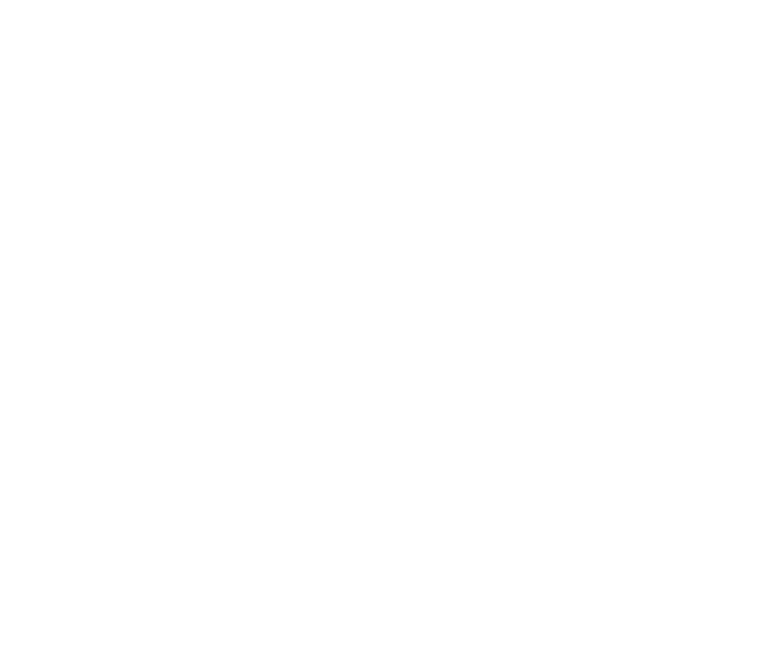 The Global Strategist